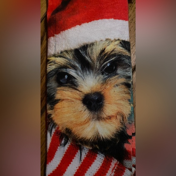 Doggie Sock - Picture 7 of 7